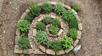 Je n’avais que 2 m² : cette astuce de permaculture a remplacé tout mon potager, tous les jardiniers devraient la copier