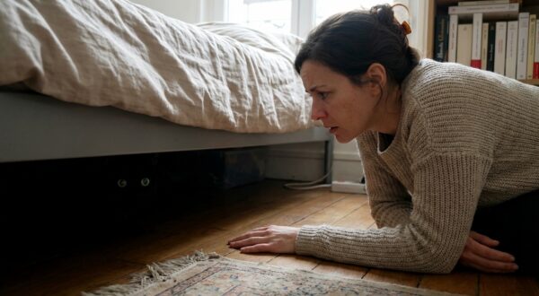 « Je pensais qu’il était juste timide » : ce que votre chat qui se cache sans arrêt essaie vraiment de vous dire