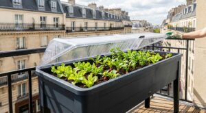 Leroy Merlin : ce potager surélevé avec serre en promo à moins de 20 € risque de disparaître avant les semis