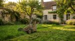 Ma pelouse grillait chaque été : ce réglage de tondeuse en mai l’empêche désormais de brûler