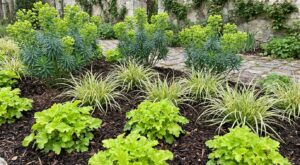 Marre des massifs vides ? Ce trio de feuillages que les paysagistes utilisent les transforme sans fleurs