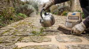 Mi-mars : ce remplissage oublié des joints d’allées bloque pour de bon les mauvaises herbes sans désherbant