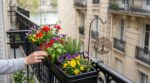 « Mon balcon était vide » : cette trouvaille GiFi à moins de 3 € pourrait tout changer chez vous ce printemps