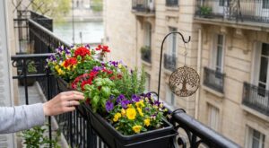 « Mon balcon était vide » : cette trouvaille GiFi à moins de 3 € pourrait tout changer chez vous ce printemps