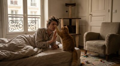 Ne faites plus cette erreur avec votre chat tyran : une méthode douce suffit à reprendre la main à la maison