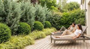 Ne plantez plus de bambous : ce végétal méconnu cache les voisins plus vite qu’une haie et sans s’étendre partout