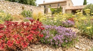 Pelouse cramée, massifs à l&rsquo;agonie ? Ces 3 plantes couvre-sol sauvent votre jardin avant la prochaine sécheresse