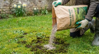 Pelouse envahie de mousse : ce sac à 44 € chez Truffaut promet de la sauver en une seule application