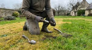 Pelouse jaune en mars : manque ou trop d’eau ? Ces 3 tests rapides à faire avant d’arroser sauvent votre gazon