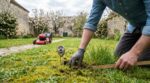 Pelouse : ne passez pas la tondeuse en mars avant d’avoir corrigé cette erreur qui condamne votre gazon et l’astuce pro