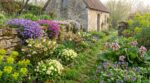 Personne ne s’attendait à voir mon jardin déjà fleuri : ces 7 vivaces à planter maintenant y sont pour tout