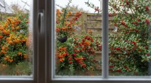 Plantez ce simple arbuste en mars : sans lui, votre jardin restera presque vide d’oiseaux tout l’hiver