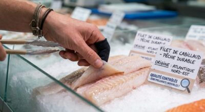 Poisson : vous pensiez bien faire pour votre santé, voici ce que contiennent vraiment ceux que vous achetez