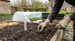 Potager : ce créneau de mars pour lancer certaines plantations avant avril, sinon vos récoltes s’effondrent