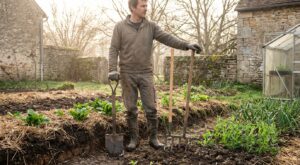 Potager : ce réflexe de mars avec la bêche abîme votre sol et ruine vos récoltes, voici quoi faire à la place