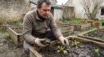 Potager de printemps : ces 10 erreurs discrètes que font tous les jardiniers et qui ruinent vos premières récoltes