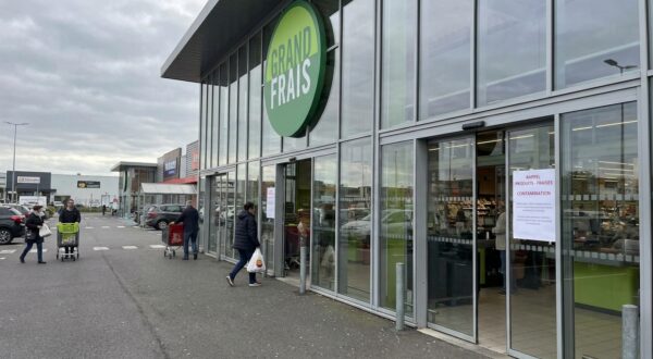 Rappel conso : ces fraises en vrac achetées chez Grand Frais en France contiennent trop de pesticides