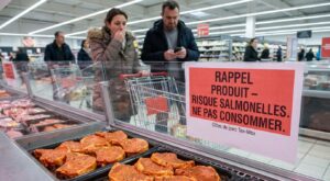 Rappel conso : ne mangez surtout plus cette viande de porc marinée vendue dans un magasin Auchan, risque de salmonelles