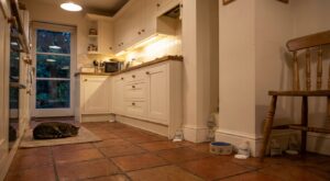 Rats dans la maison : ces 5 odeurs du placard de cuisine à tester ce soir, sans produit chimique