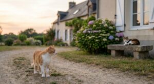 Si votre chat mâle s’éloigne plus que votre chatte, voici ce que cache son territoire et le geste qui peut le protéger