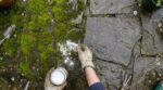 Terrasse : cette erreur avec l’eau bouillante abîme vos dalles, ce jardinier m’a conseillé une poudre à 4 €