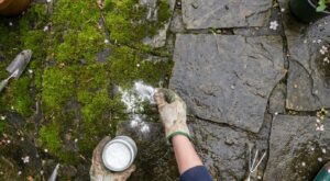 Terrasse : cette erreur avec l’eau bouillante abîme vos dalles, ce jardinier m’a conseillé une poudre à 4 €