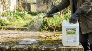 Terrasse envahie par la mousse : ce bidon à 3,99 € chez Action pourrait bien tout changer ce printemps