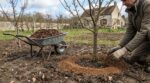 Un seul apport de cet engrais naturel méconnu peut littéralement démultiplier la récolte de vos fruitiers cet été