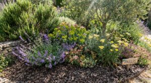 Votre jardin grille chaque été : ce trio de fleurs rebouche tous les trous sans une seule goutte d’eau