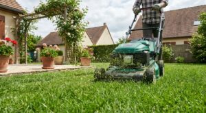 Vous appauvrissez votre pelouse à chaque tonte : cette technique la nourrit toute seule sans ramassage