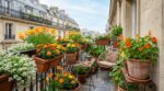 Balcon tristounet ? Ces fleurs à semer en avril explosent de couleur en 4 à 8 semaines si vous évitez cette erreur