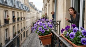 Ces graines Jardiland à moins de 8 € métamorphosent vos violettes, vos voisins vont croire à une variété rare