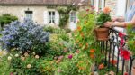Massifs nus, balcon gris : ces 6 fleurs à planter en avril créent ce décor spectaculaire que vous pensiez trop tard