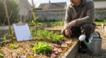 Oubliez les week-ends à bêcher : ce plan d’attaque en 3 étapes lance ce printemps un potager sans corvées