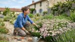 Pendant que vous passez vos week-ends à désherber, les pros du jardin laissent cette “mauvaise herbe” faire le travail