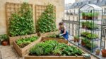Potager minuscule : cette méthode 3D des maraîchers pour arrêter de gaspiller vos précieux mètres carrés