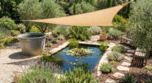 Sécheresse et canicules : ce format de bassin de jardin est le seul qui tienne l’été sans vider votre eau