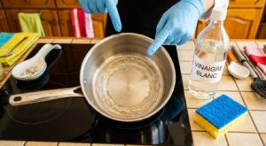 Vous couvrez toujours votre casserole ? Ce que révèle le fond après 30 ébullitions ne doit plus être ignoré