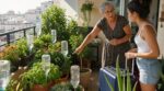 Avant de partir 15 jours en vacances, cette astuce de voisin retraité sauve vos plantes de la canicule