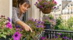 Balcon rempli de pétunias fanés : ce que mon voisin m’a interdit de couper et les 3 gestes qui sauvent la fin de saison