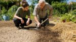 Canicule : ce geste tout simple avec votre sol remplace l’arrosoir et garde le potager frais plusieurs jours