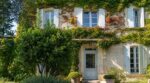 Canicule : ces 3 arbustes oubliés que nos grands-parents plantaient contre la maison pour garder l’intérieur au frais