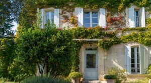 Canicule : ces 3 arbustes oubliés que nos grands-parents plantaient contre la maison pour garder l’intérieur au frais