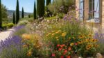 Canicule, facture d&rsquo;eau qui explose : ces 7 fleurs à planter maintenant restent fleuries l&rsquo;été en buvant presque rien