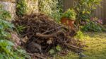 Ce coin négligé du jardin peut, en une saison, stopper limaces et pucerons et protéger toutes vos plantations
