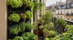 En mai, ce montage de potager vertical transforme un balcon étroit en mur de salades (à condition d’éviter cette erreur)