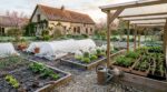 Gel tardif en avril : cette règle simple pour planter dès maintenant sans sacrifier vos tomates