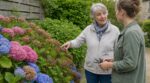Hortensias : cette taille pour faire propre en mai détruit vos fleurs d’été, un voisin m’a appris quoi changer