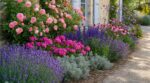 Jardin : ces 4 duos de fleurs que les paysagistes appellent leurs duos interdits tant ils réduisent l&rsquo;arrosage