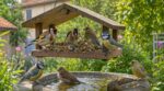 Jardin : cet accessoire pour oiseaux que des millions de Français laissent l’été, censé les protéger, peut les décimer